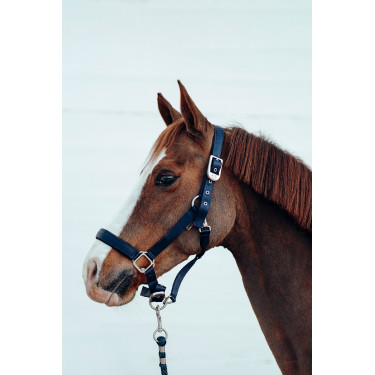 Cabezada de cuadra Hardwick B Vertigo Azul marino oscuro