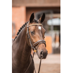 Marrón / oro rosa Marrón / oro rosa