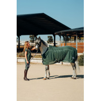 Mascara anti-moscas Horze Oslo Cilantro verde Mascara anti-moscas Horze Oslo Cilantro verde