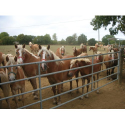 Puerta de campo con barras 42 La Gée