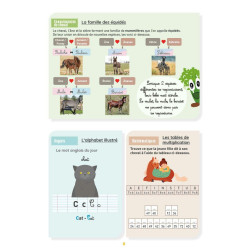 Mon Cahier d'Activités - Niveau CM2 LAVAUZELLE Mon Cahier d'Activités - Niveau CM2 LAVAUZELLE