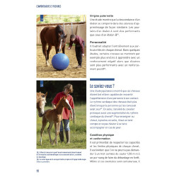 Comportamientos y posturas Comportamientos y posturas