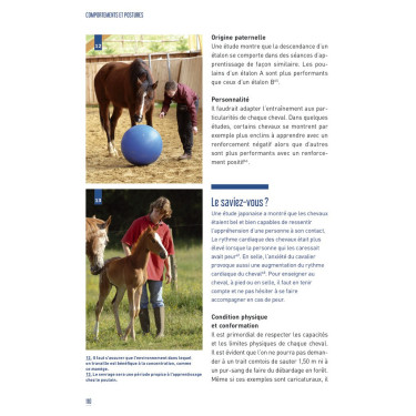 Comportamientos y posturas Comportamientos y posturas
