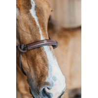 Cabezada etológica Dy'on Castaño Marrón