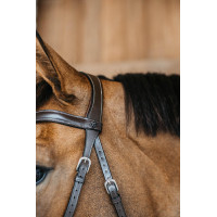 Brida sin bocado Bitless Dy'on Castaño Marrón