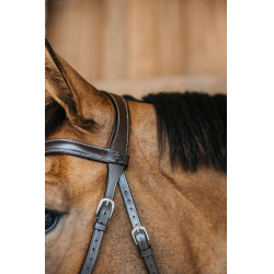 Brida sin bocado Bitless Dy'on Castaño Marrón