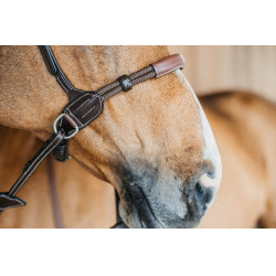 Brida sin bocado Bitless Dy'on Castaño Marrón