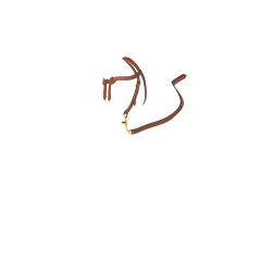 Brida Western color tostado para juguete Mini Poney LeMieux Brida Western color tostado para juguete Mini Poney LeMieux