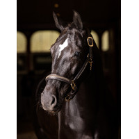 Cabezada LeMieux Leather Crystal Castaño Marrón Cabezada LeMieux Leather Crystal Castaño Marrón