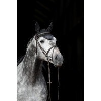 new Blanco new Blanco