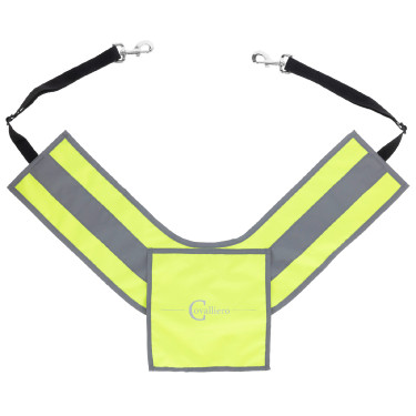 Pechopetral reflectante Covalliero