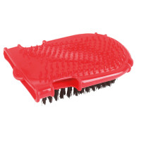 new Roja