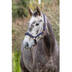 Cabezada para caballo Royal Covalliero Cabezada para caballo Royal Covalliero