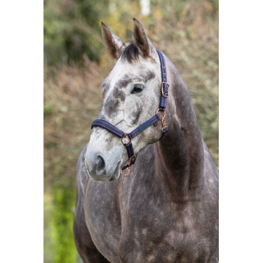 Cabezada para caballo Royal Covalliero Cabezada para caballo Royal Covalliero