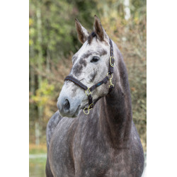 Cabezada para caballo Royal Covalliero Marrón / azul claro Marr&amp;amp;amp;oacute;n