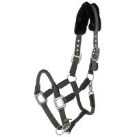 Cabezada Cordano Covalliero Oliva Verde Cabezada Cordano Covalliero Oliva Verde