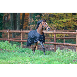 Manta RugBe IceProtect 200 Cavalliero Manta RugBe IceProtect 200 Cavalliero