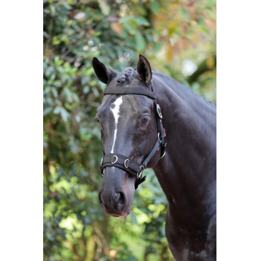 Serretón sintetico negro Covalliero