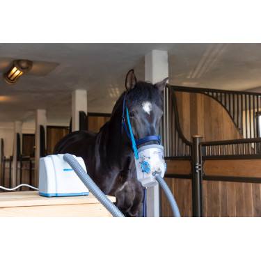 Masque d’inhalation AirOne avec accessoires Hippomed