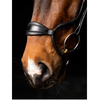 Negro / plata  Negro / plata