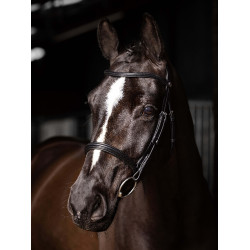 Negro / plata Negro / plata