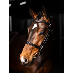 Negro / plata Negro / plata