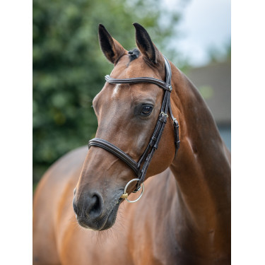 Marrón / plata  Marrón / plata