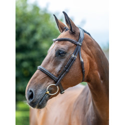 Marrón / plata  Marrón / plata