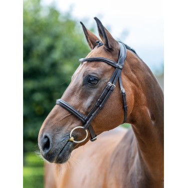 Marrón / plata  Marrón / plata