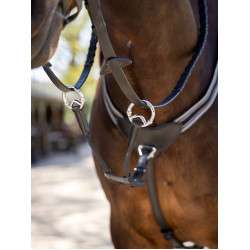 Martingale LeMieux élastique avec protection de poitrail Negro / plata
