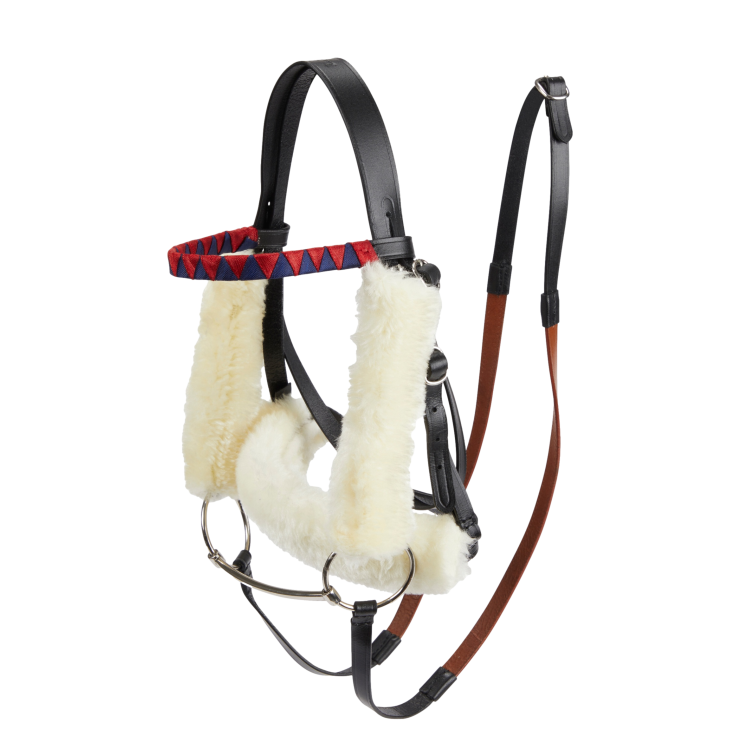 Brida de carrera LeMieux Hobby Horse
