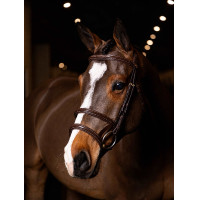 Brida doble muserola LeMieux Kudos Habana / latón Marr&amp;oacute;n