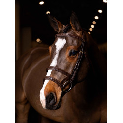 Brida doble muserola LeMieux Kudos Habana / latón Marrón