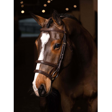 Brida doble muserola LeMieux Kudos Habana / latón Marrón