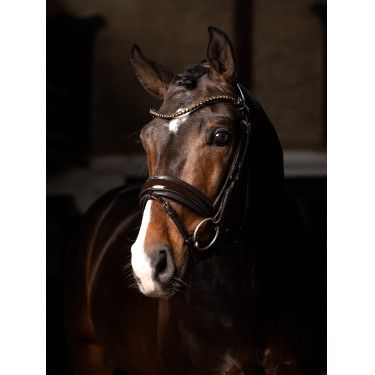 Brida LeMieux Kudos Patent doma Castaño Marrón Brida LeMieux Kudos Patent doma Castaño Marrón