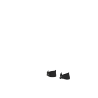 Negro  Negro