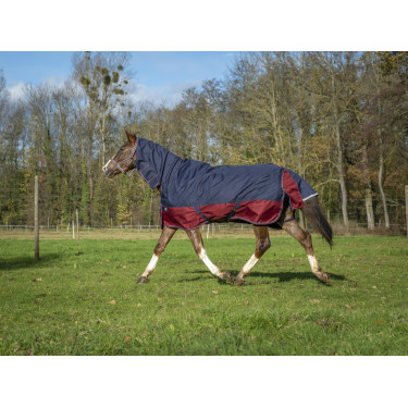 Manta Equi-Theme Tyrex 1200 D Combo Manta Equi-Theme Tyrex 1200 D Combo