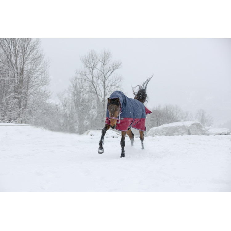 Manta Equi-Theme Tyrex 1200 D Combo Manta Equi-Theme Tyrex 1200 D Combo