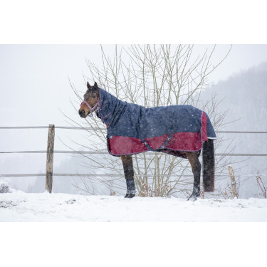 Manta Equi-Theme Tyrex 1200 D Combo Manta Equi-Theme Tyrex 1200 D Combo