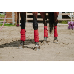 Ventas de polo EQUITHÈME Ventas de polo EQUITHÈME