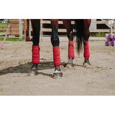 Ventas de polo EQUITHÈME Ventas de polo EQUITHÈME