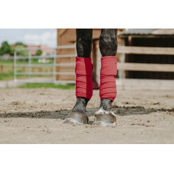 Ventas de polo EQUITHÈME Ventas de polo EQUITHÈME