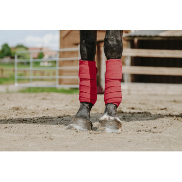 Ventas de polo EQUITHÈME Ventas de polo EQUITHÈME