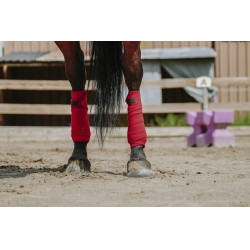 Ventas de polo EQUITHÈME Ventas de polo EQUITHÈME