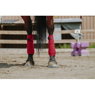 Ventas de polo EQUITHÈME Ventas de polo EQUITHÈME