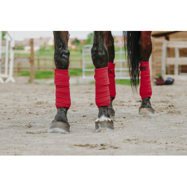 Ventas de polo EQUITHÈME Ventas de polo EQUITHÈME