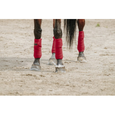 Ventas de polo EQUITHÈME Ventas de polo EQUITHÈME