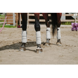 Ventas de polo EQUITHÈME Ventas de polo EQUITHÈME