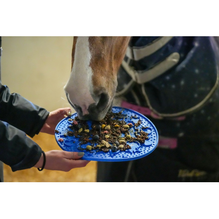 Tapete para lamer LIKIT Graze Maze Tapete para lamer LIKIT Graze Maze
