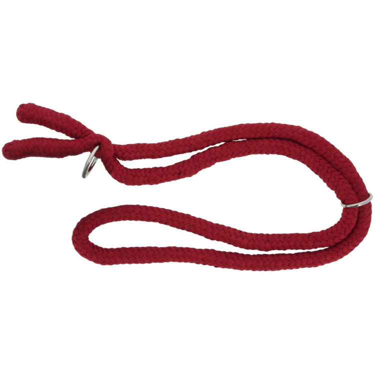 Collar Etológico NORTON